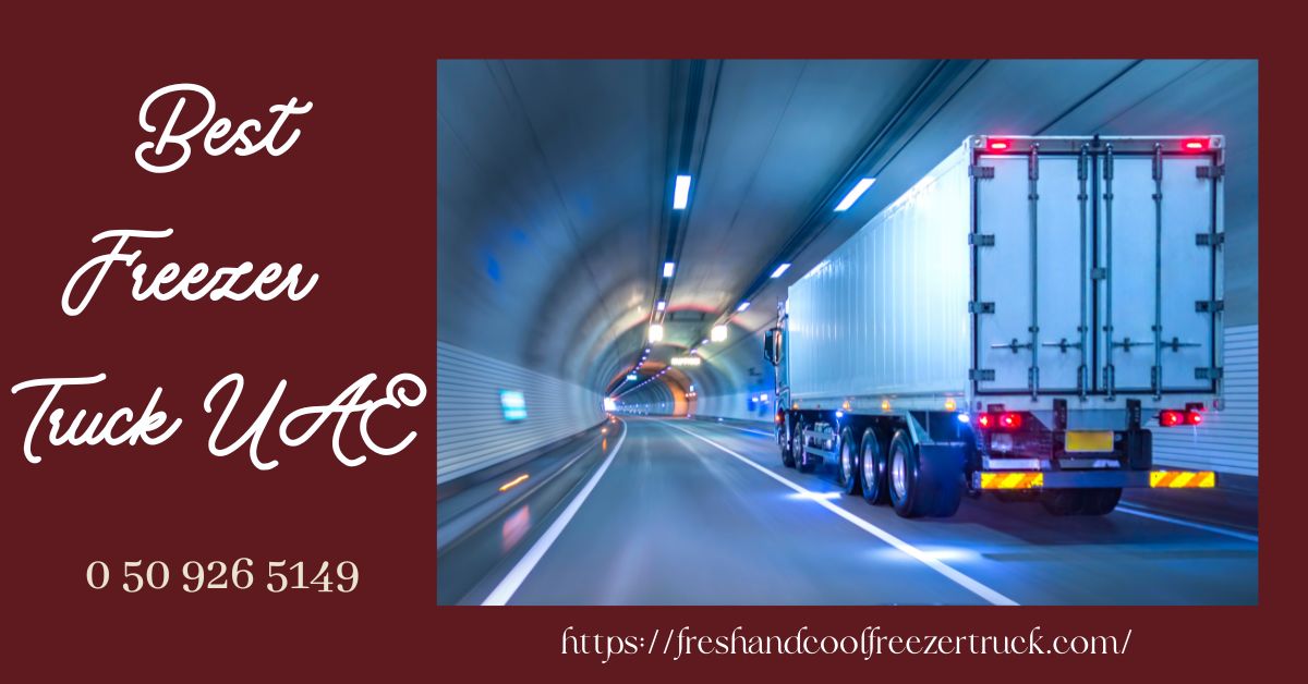 Freezer Vans Keeping Your Goods Fresh on the Move